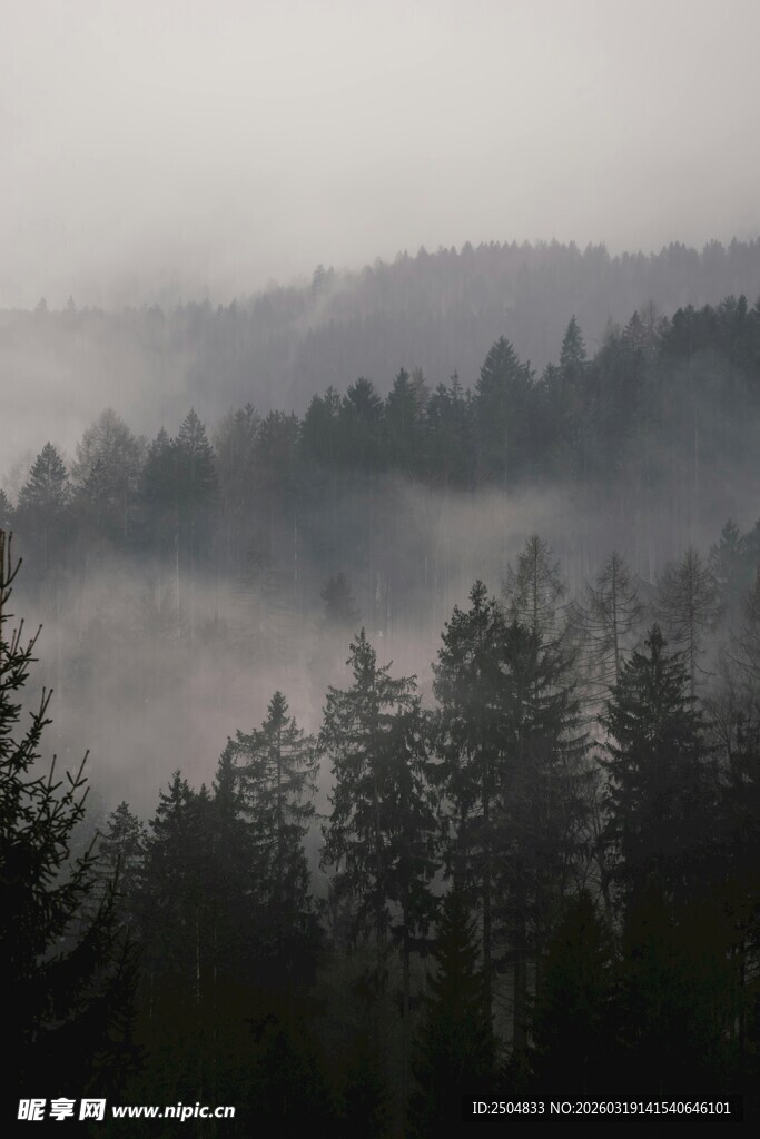 山林间的薄雾缭绕景象