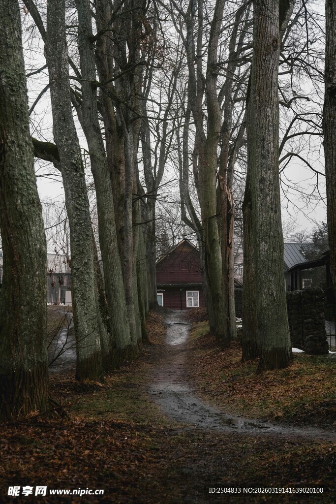 林间小道旁的静谧小屋