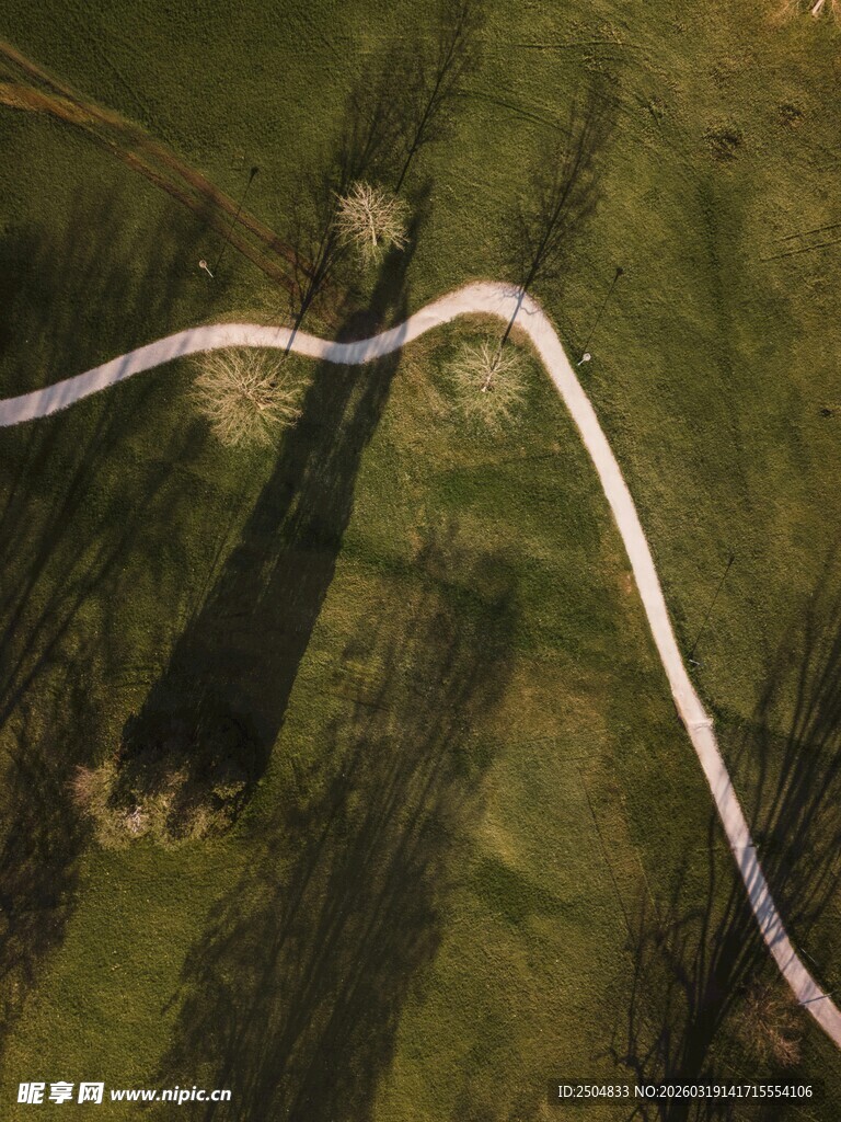 蜿蜒小道穿行于绿野之中