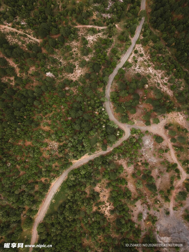 蜿蜒山路穿行于葱郁山林