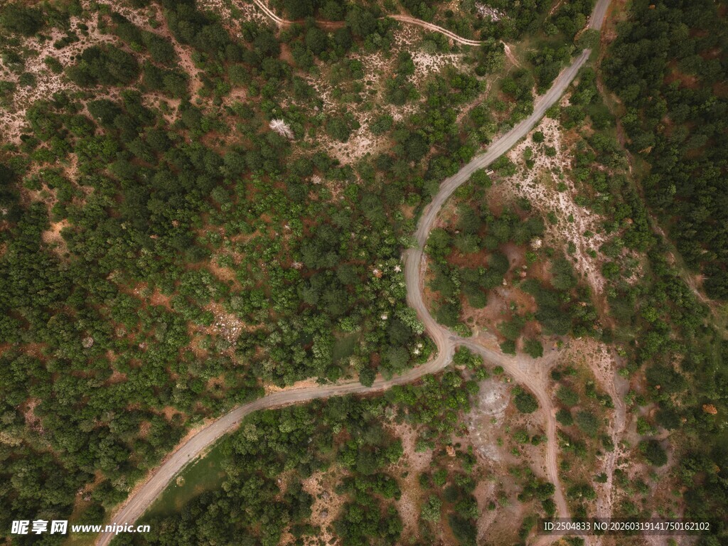 蜿蜒山路穿梭于葱郁山林