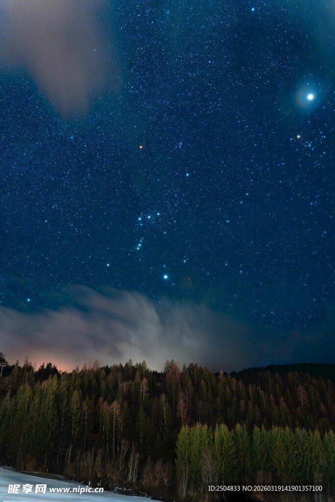 夜空繁星下的森林美景