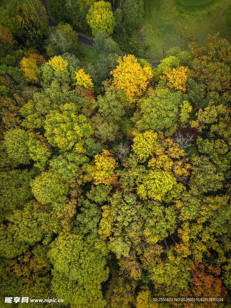 俯瞰多彩繁茂绿植景观