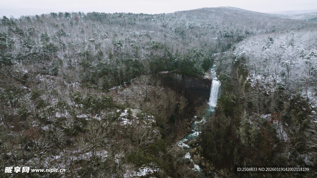 冬日山林中的潺潺溪流