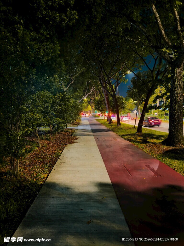 夜晚林荫下的多彩步道