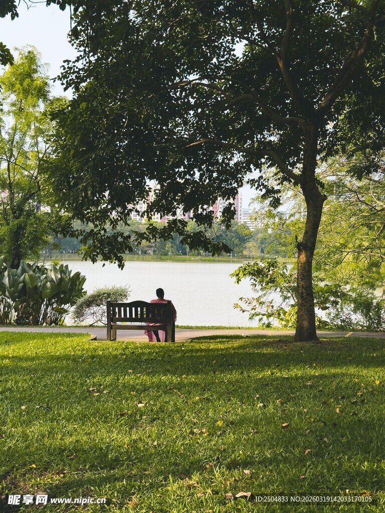 公园长椅上的静谧时光