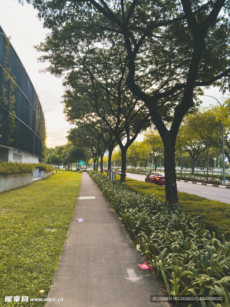 城市林荫步道景观