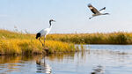 AI生画