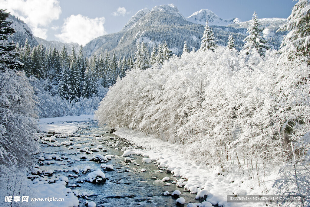 冬日雪覆溪流山林美景