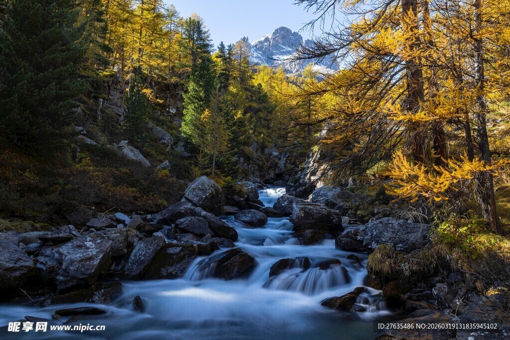 山间溪流秋景