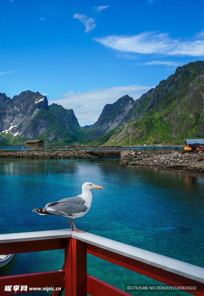 海边美景与海鸥