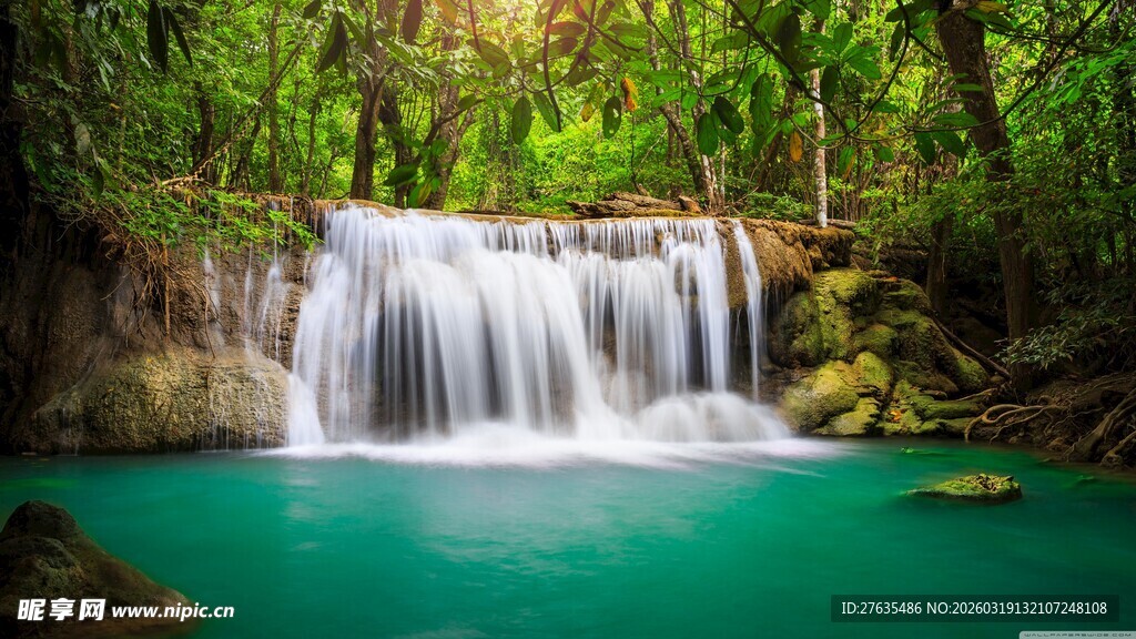 森林中的碧绿瀑布景观