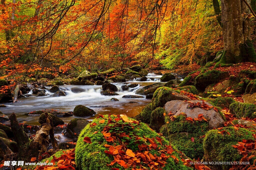 秋日山林溪流美景