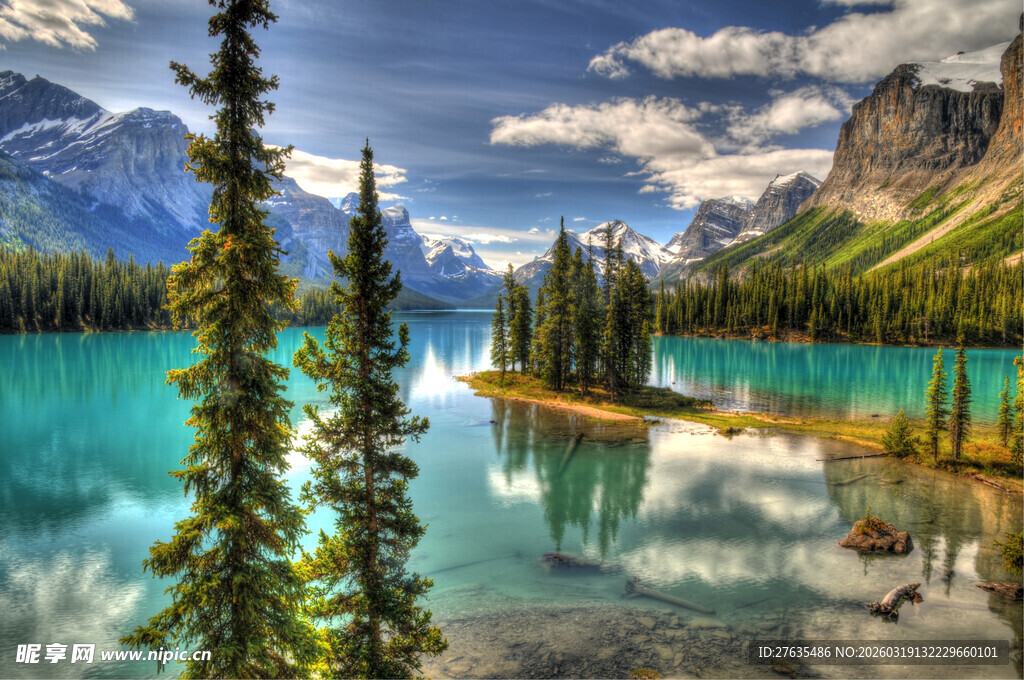 美丽湖景与挺拔树木