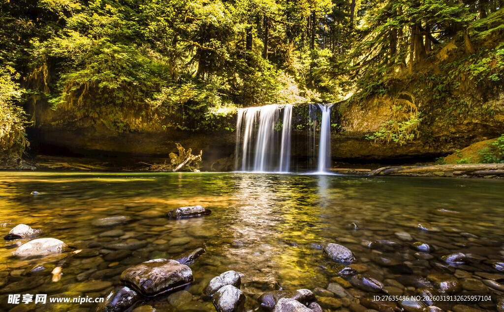 森林中的清澈瀑布景观