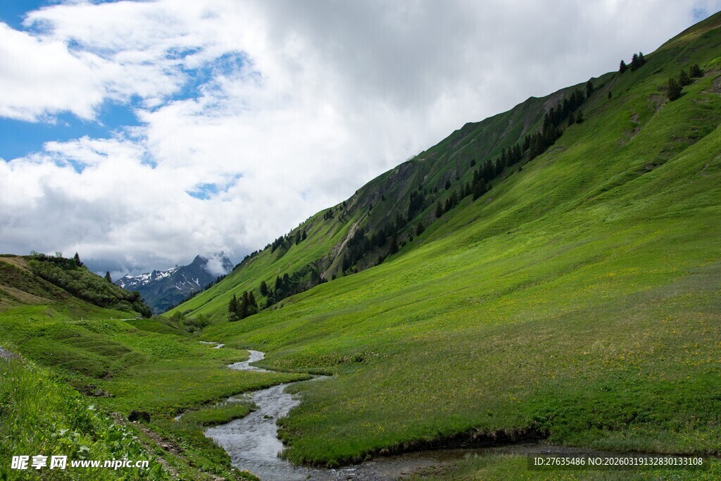 山间绿野中的潺潺溪流