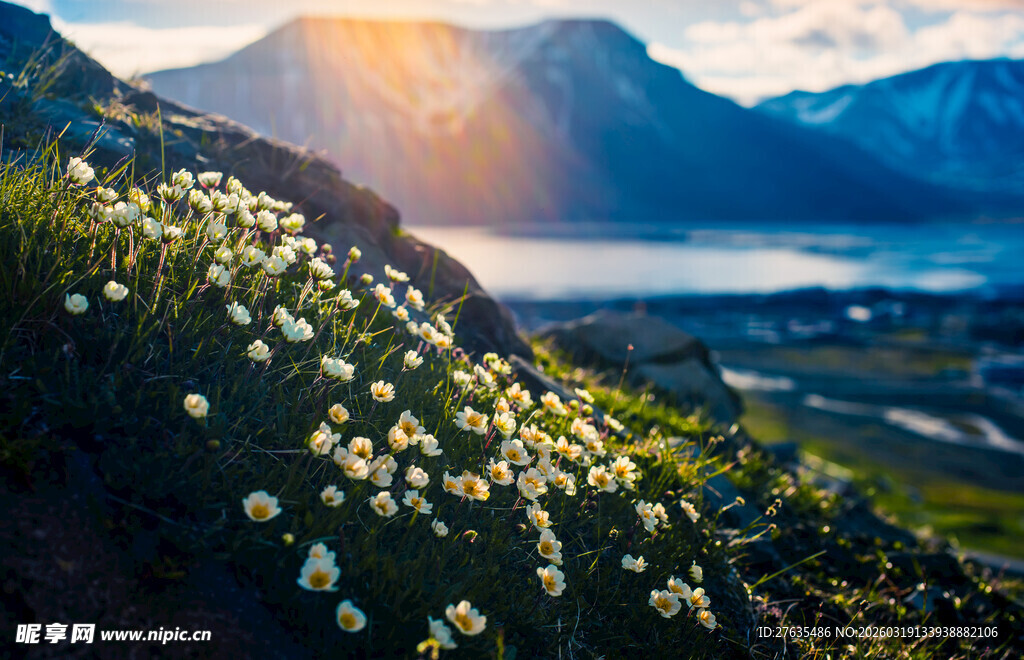 山间繁花伴壮丽湖景日出