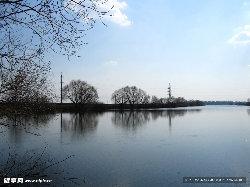 宁静湖面与远处树木景观