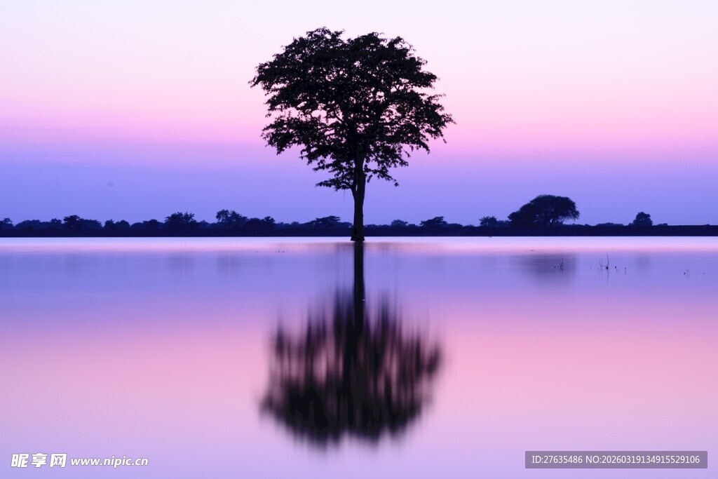 湖畔孤树映晚霞