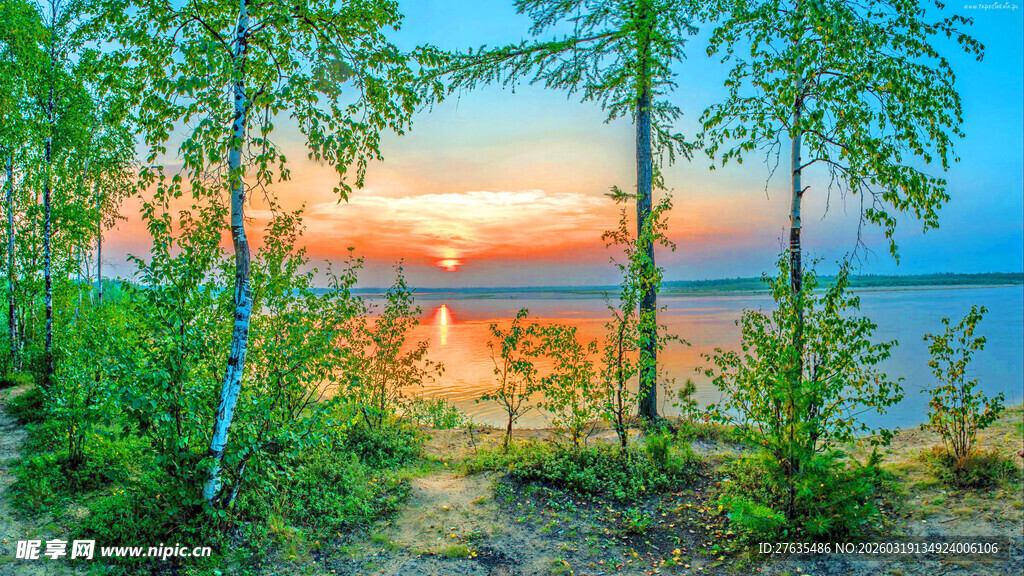 湖畔夕阳下的葱郁树林