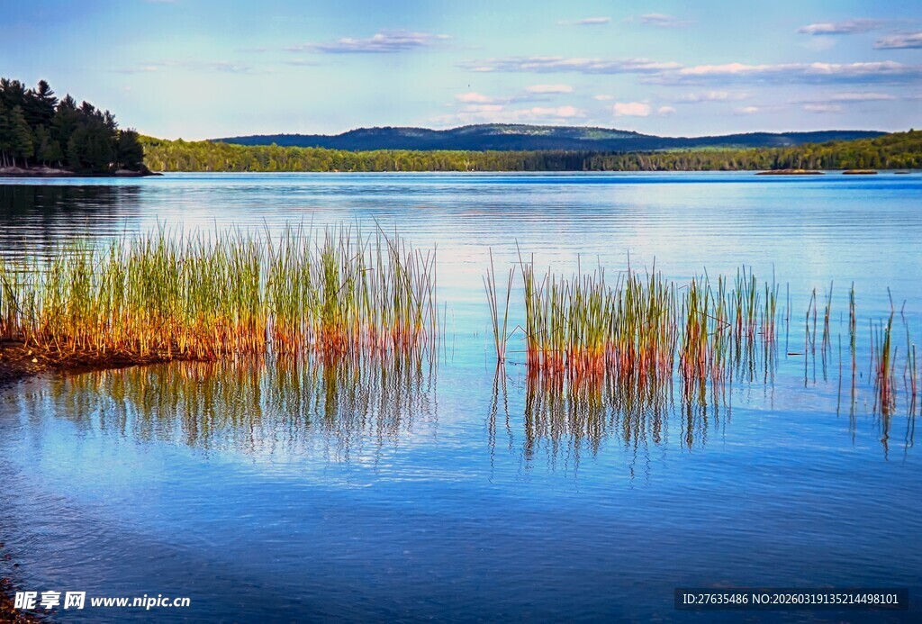 宁静湖畔的美丽自然风光