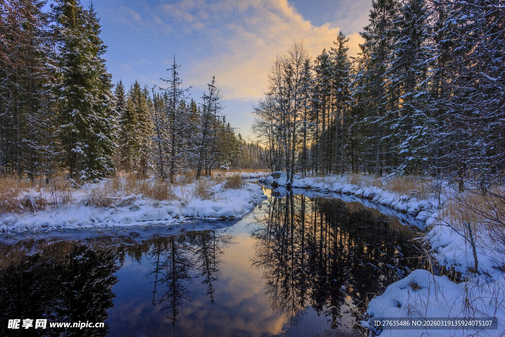 冬日林间河流雪景