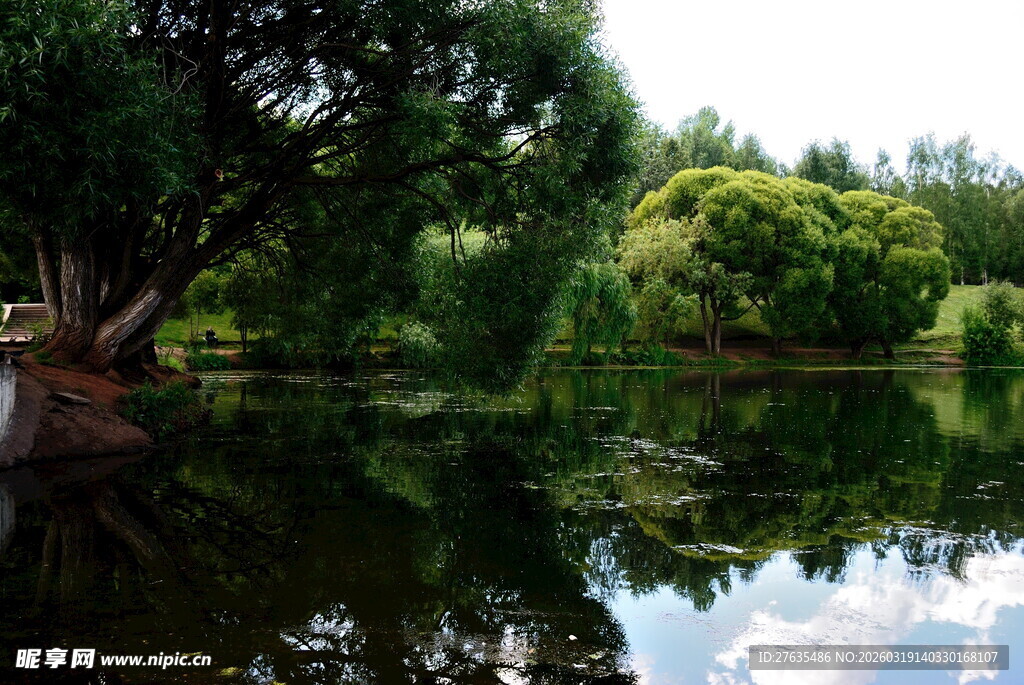 宁静湖畔绿意盎然的景致
