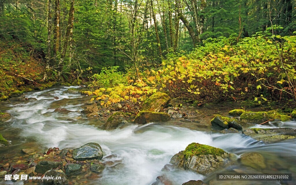 山林间潺潺流淌的清澈溪流