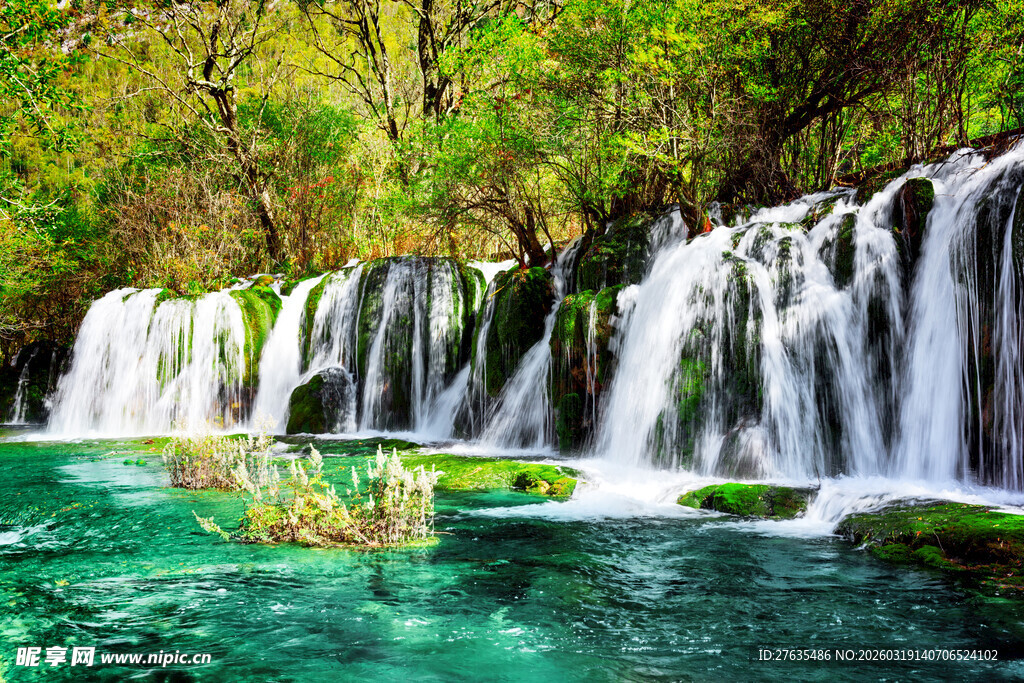 翠绿山林中的清澈瀑布