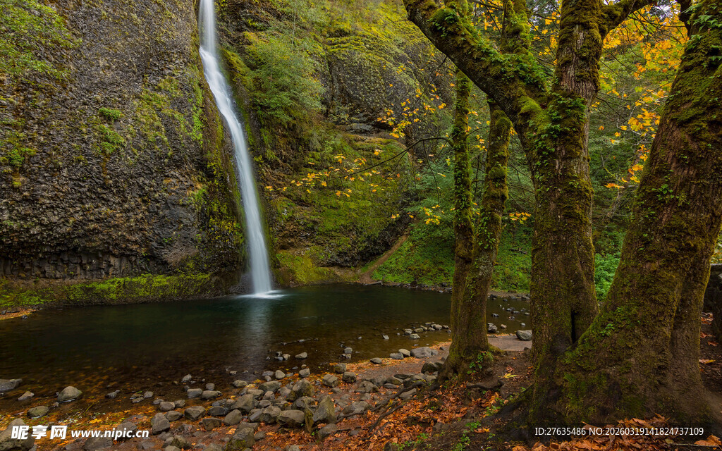 秋日森林中的瀑布美景