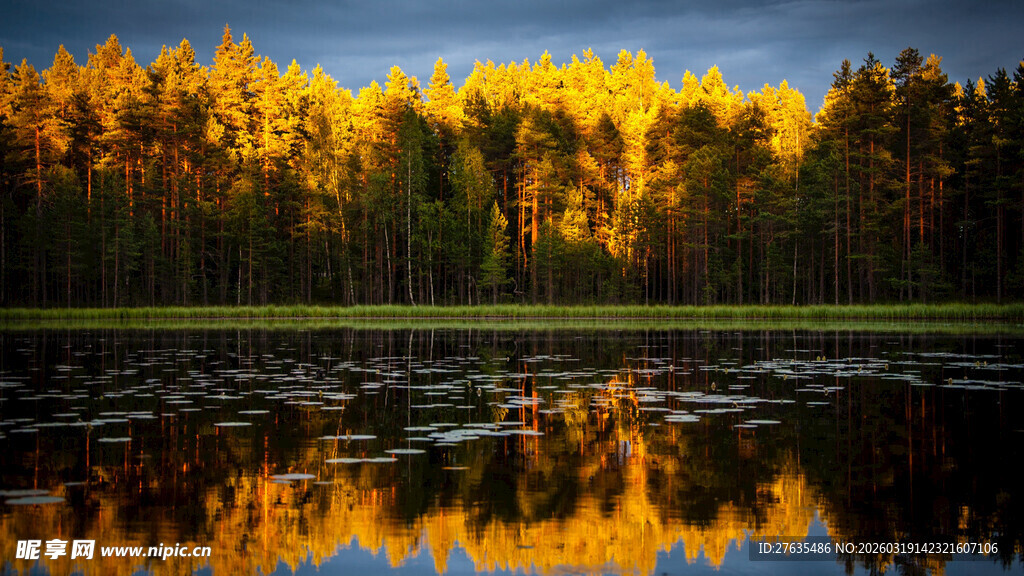 湖畔秋林倒影美景