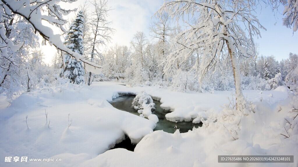 冬日雪覆溪流森林美景
