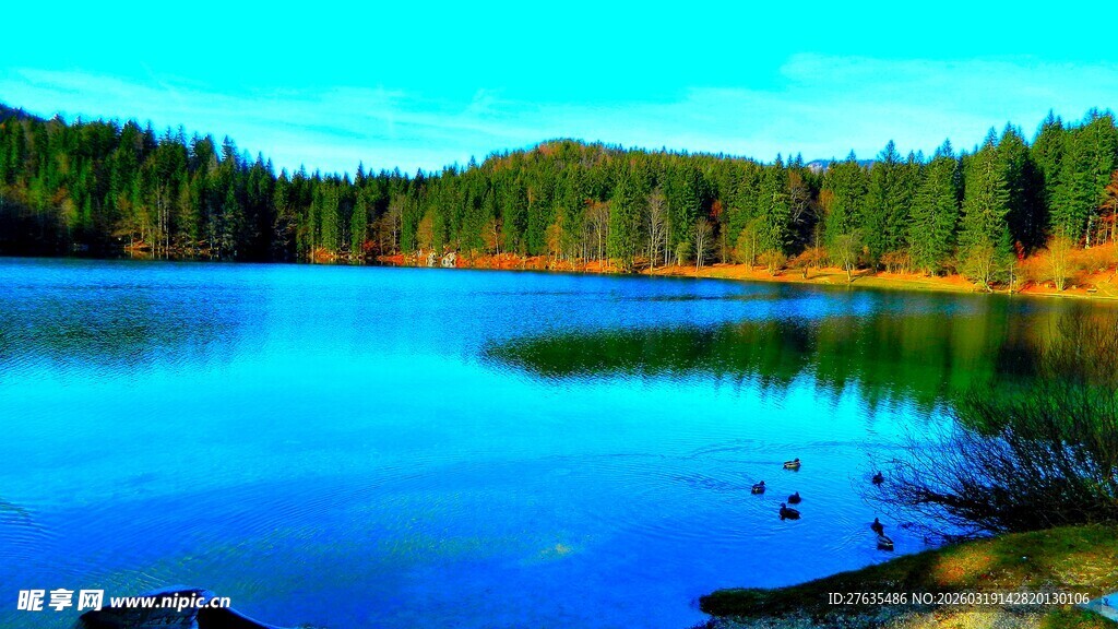 宁静湖畔的自然美景