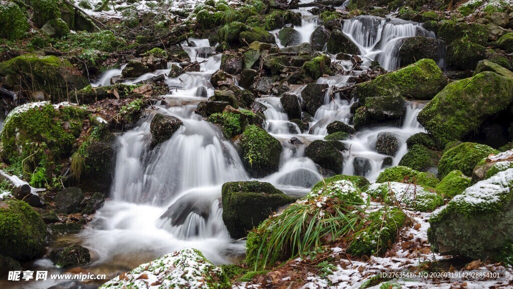 山间溪流覆绿苔的灵动景致