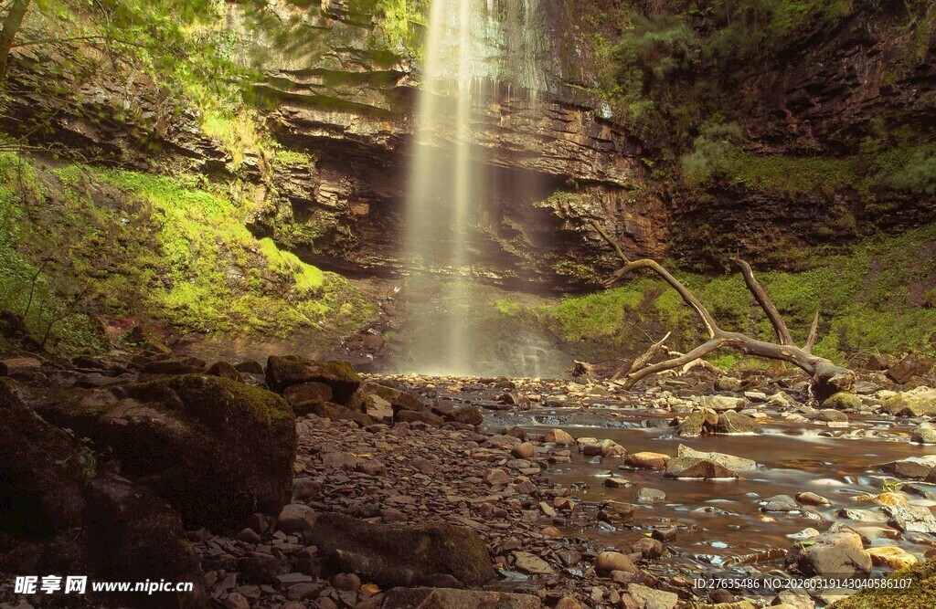 森林中的梦幻瀑布景观