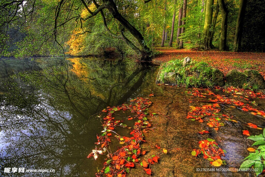 秋日溪边绚烂落叶美景