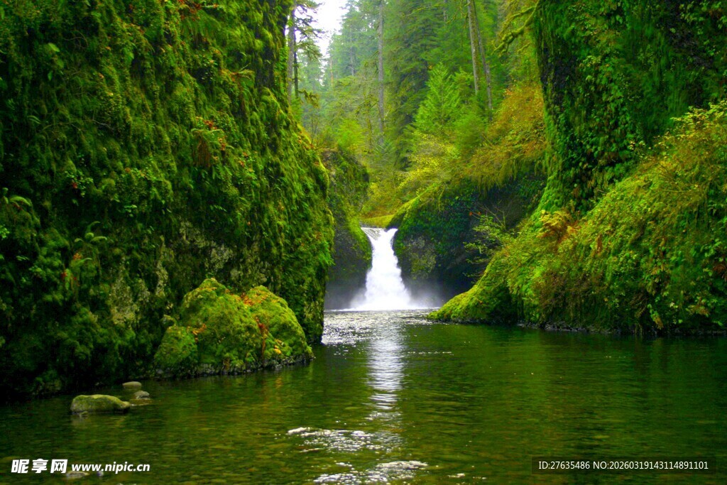 森林中的静谧溪流与瀑布