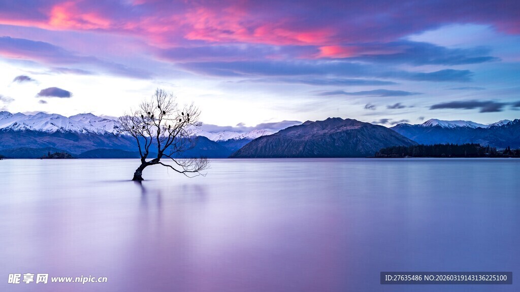 湖畔孤树映绚丽天空