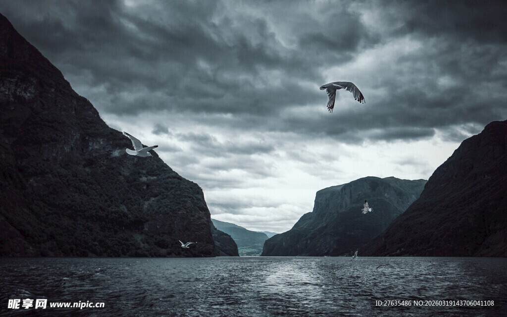 峡湾上空飞鸟与阴沉天色