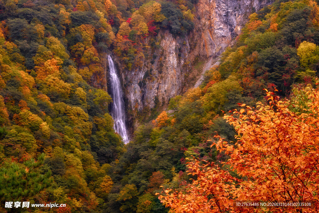 秋日山林中的壮美瀑布