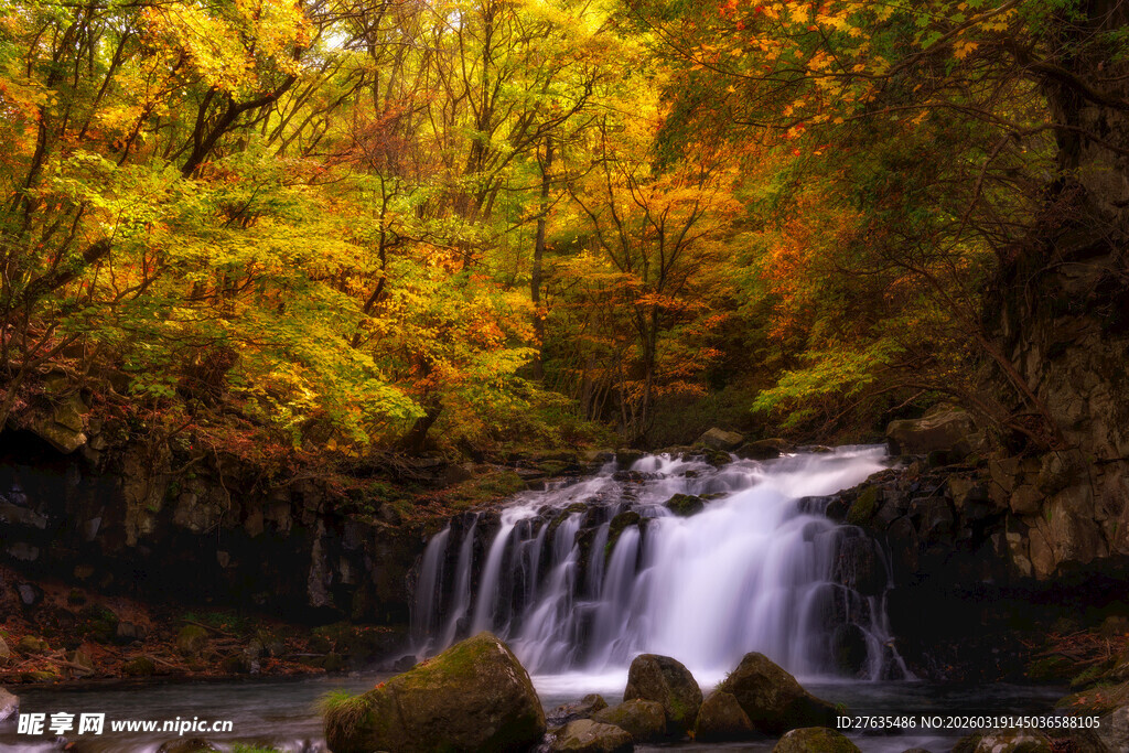 秋日山林中的灵动小瀑布