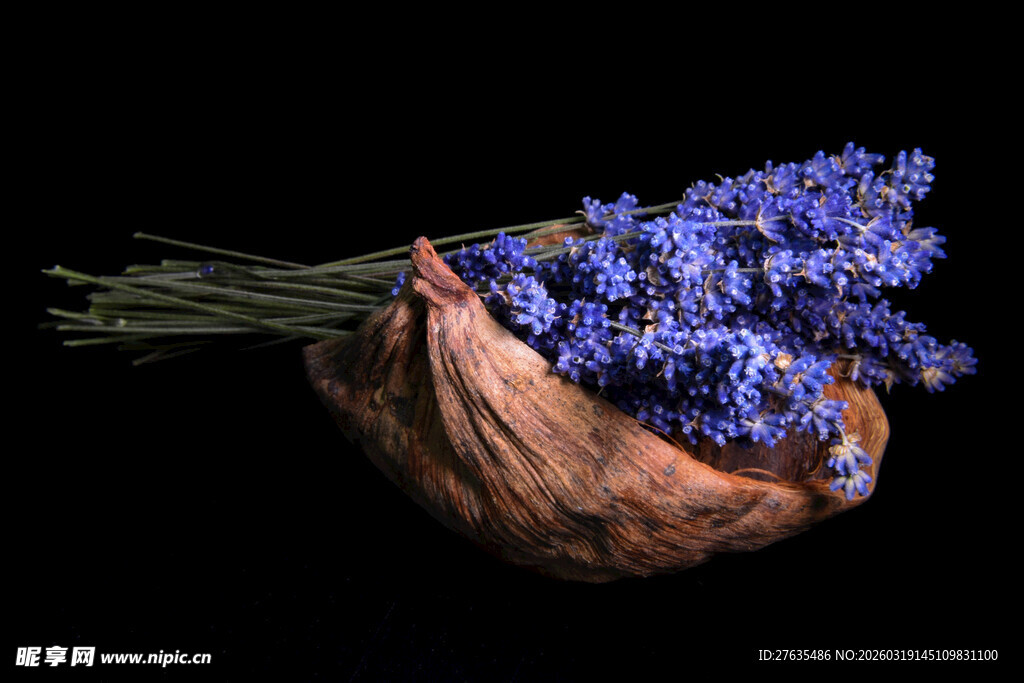 陶碗中的紫色薰衣草花束