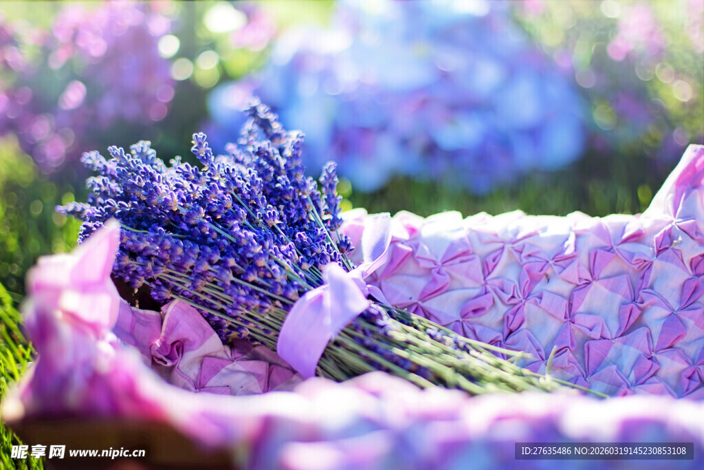 薰衣草花束置于彩色布上