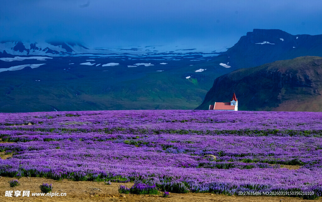 紫色花海中的山间小屋