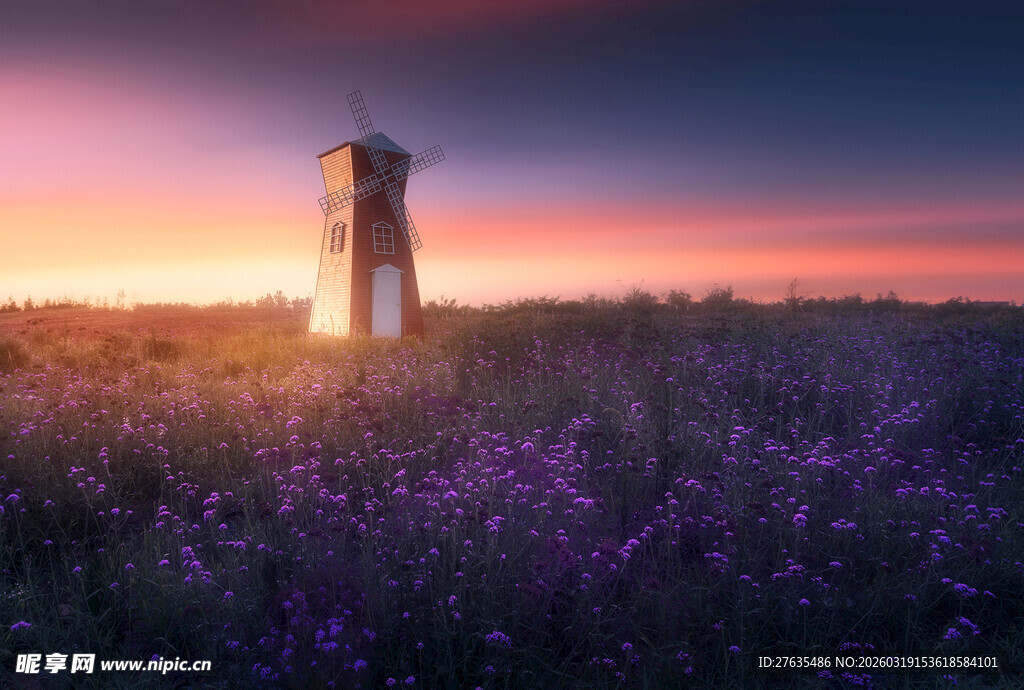 夕阳下的风车与紫色花田