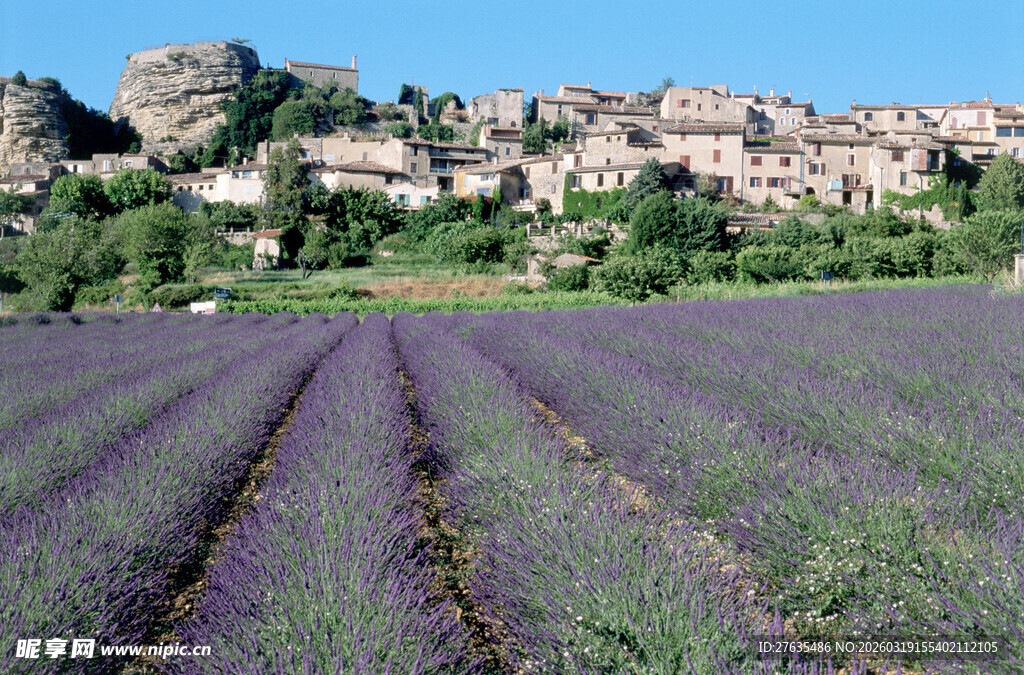 薰衣草田旁的古朴村庄