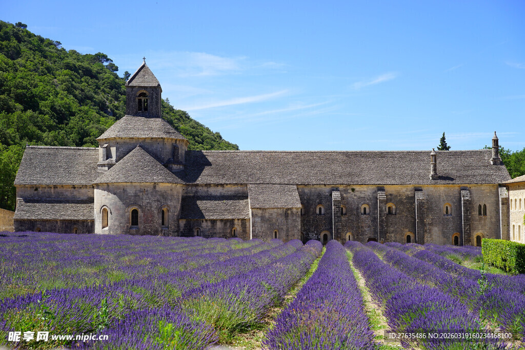 薰衣草田中的古老修道院