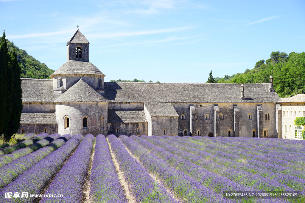薰衣草田旁的古老建筑