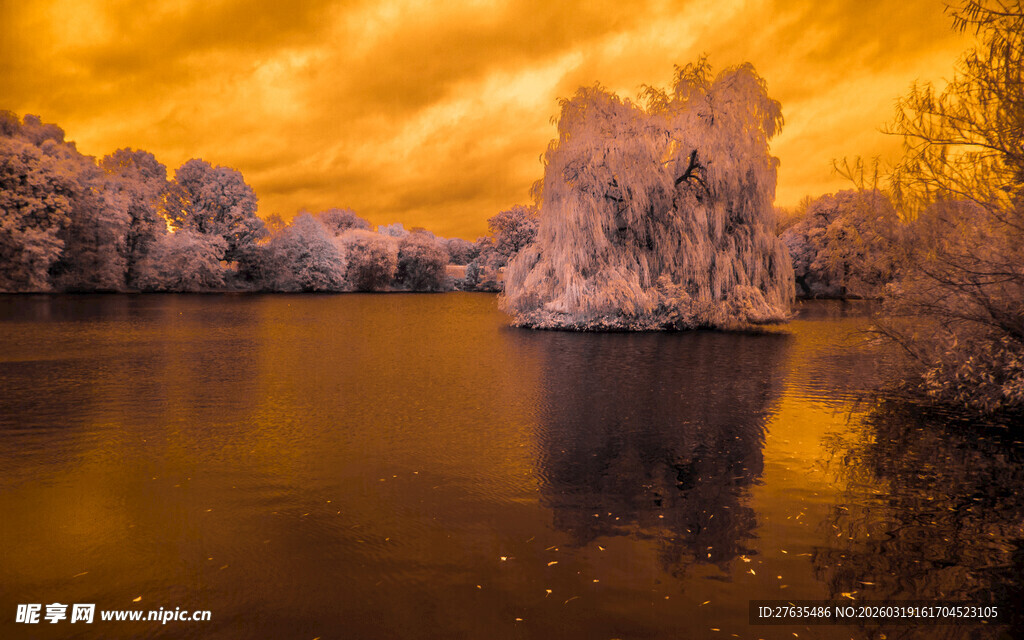 梦幻秋色湖畔风景