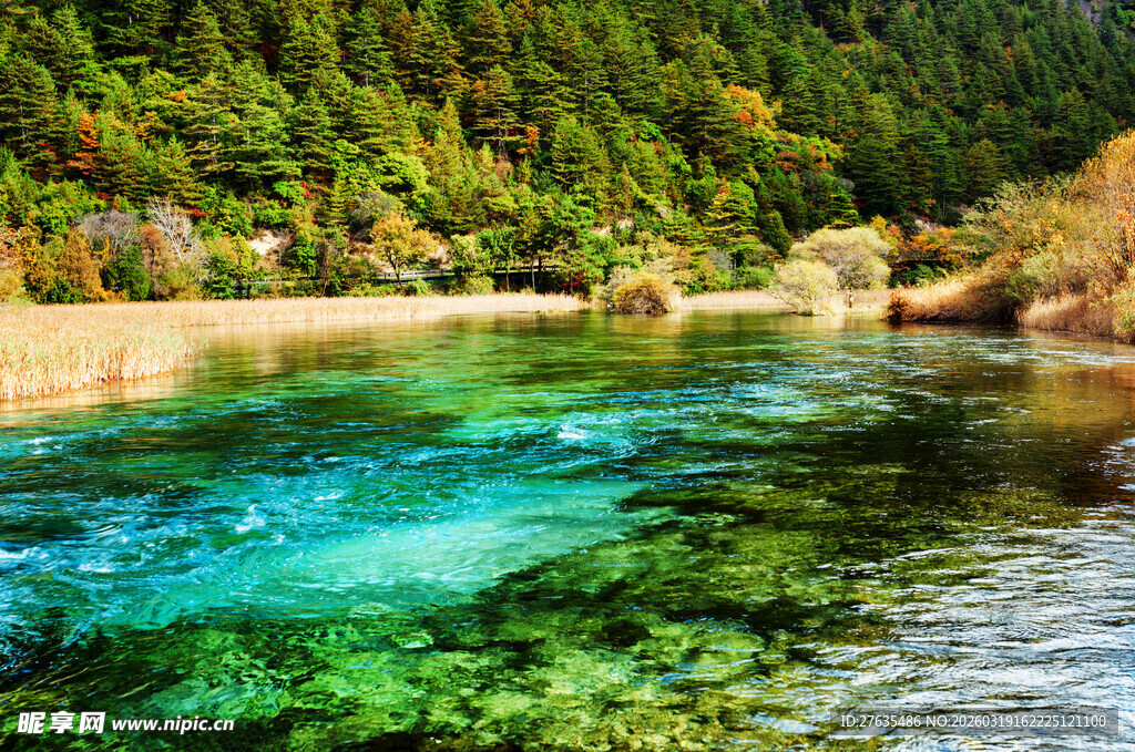 清澈碧绿的山间溪流景色